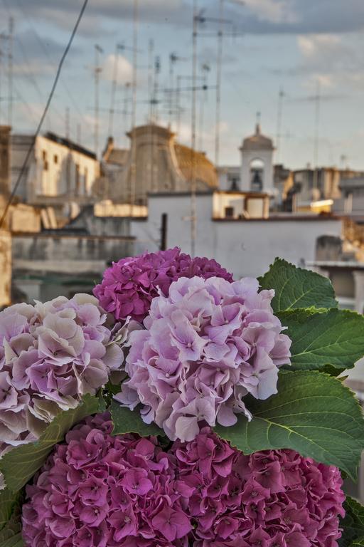 Le Nicchie Otel Bari Dış mekan fotoğraf